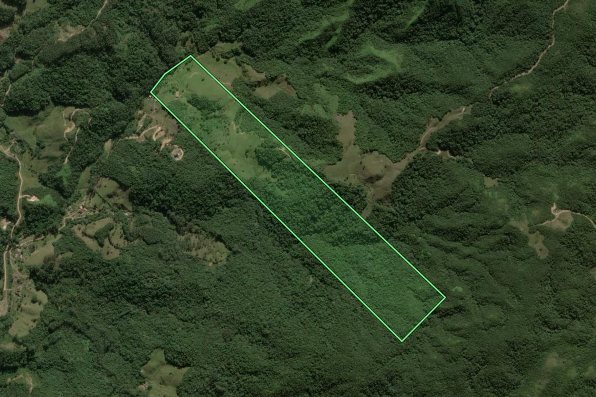 Imagem de satélite do imóvel rural em Angelina (SC), com o contorno declarado no CAR desenhado por cima.