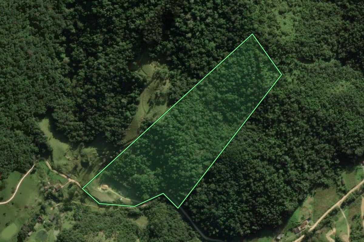 Imagem de satélite do imóvel rural em Angelina (SC), com o contorno declarado no CAR desenhado por cima.