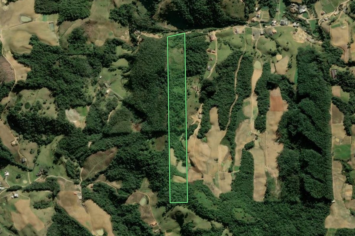Imagem de satélite do imóvel rural em Angelina (SC), com o contorno declarado no CAR desenhado por cima.