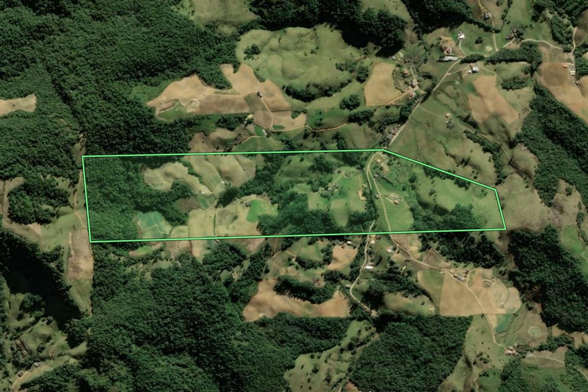 Imagem de satélite do imóvel rural em Angelina (SC), com o contorno declarado no CAR desenhado por cima.