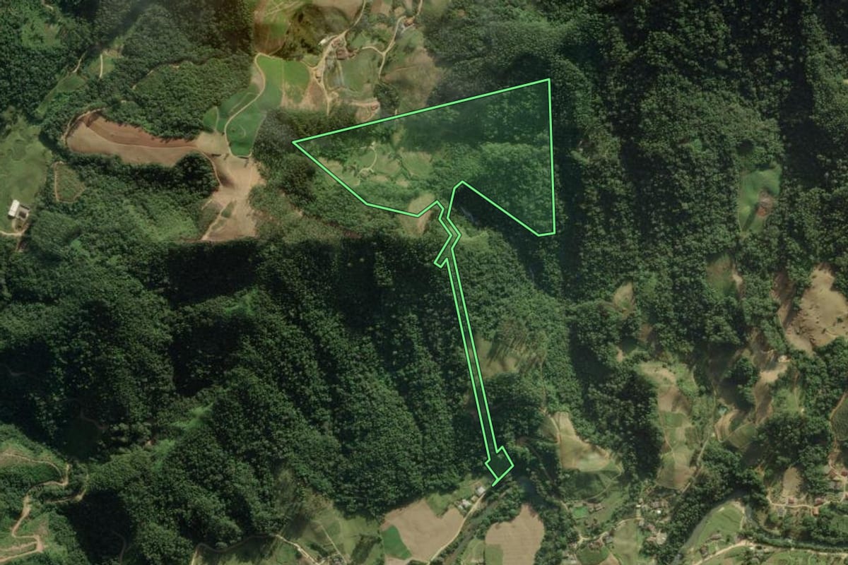 Imagem de satélite do imóvel rural em Angelina (SC), com o contorno declarado no CAR desenhado por cima.