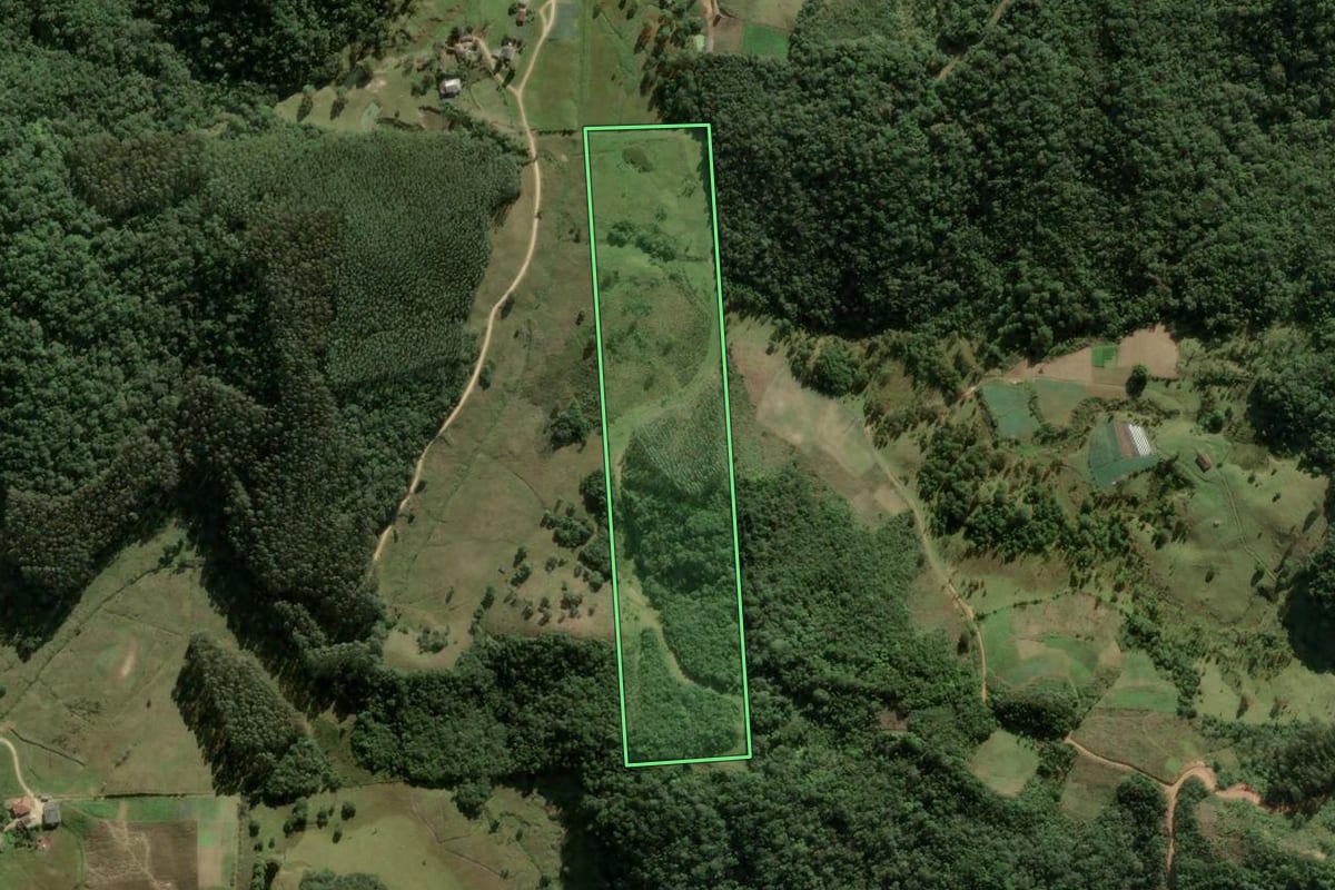 Imagem de satélite do imóvel rural em Angelina (SC), com o contorno declarado no CAR desenhado por cima.