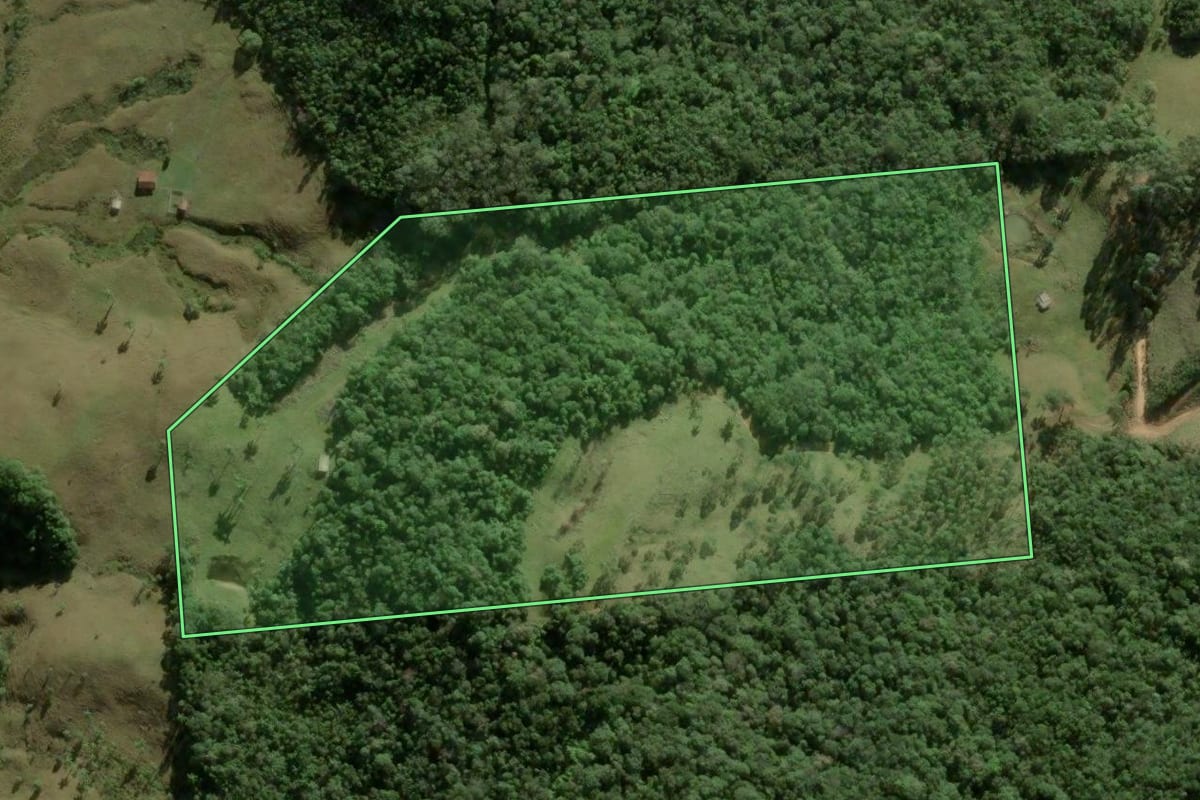 Imagem de satélite do imóvel rural em Angelina (SC), com o contorno declarado no CAR desenhado por cima.