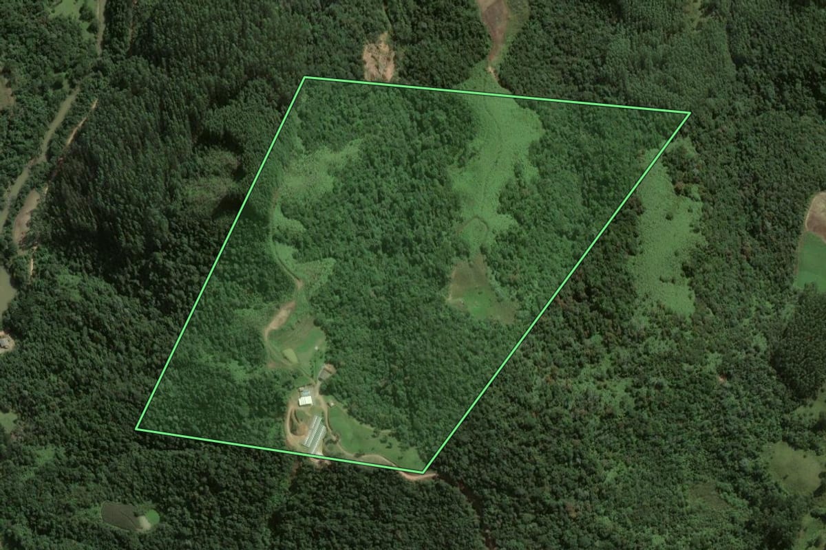 Imagem de satélite do imóvel rural em Angelina (SC), com o contorno declarado no CAR desenhado por cima.