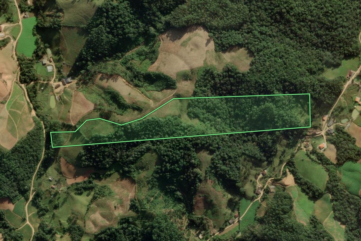 Imagem de satélite do imóvel rural em Angelina (SC), com o contorno declarado no CAR desenhado por cima.