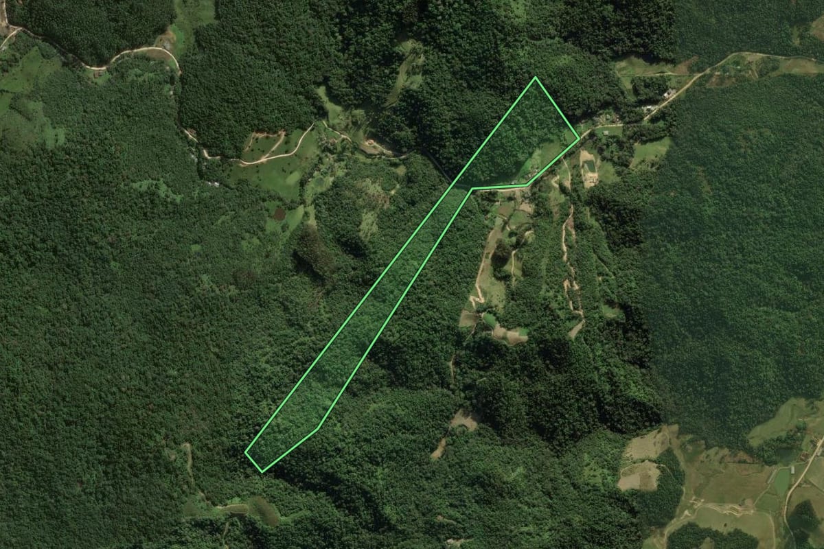 Imagem de satélite do imóvel rural em Angelina (SC), com o contorno declarado no CAR desenhado por cima.