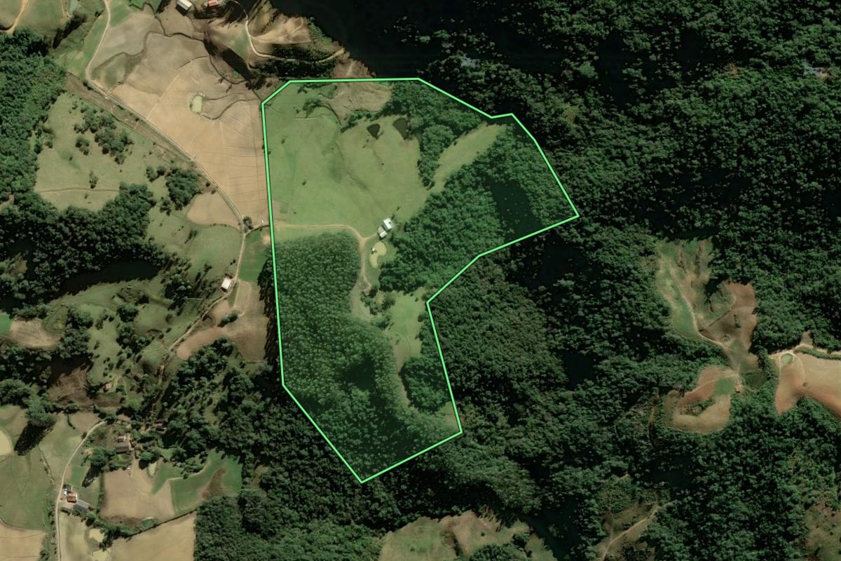 Imagem de satélite do imóvel rural em Angelina (SC), com o contorno declarado no CAR desenhado por cima.