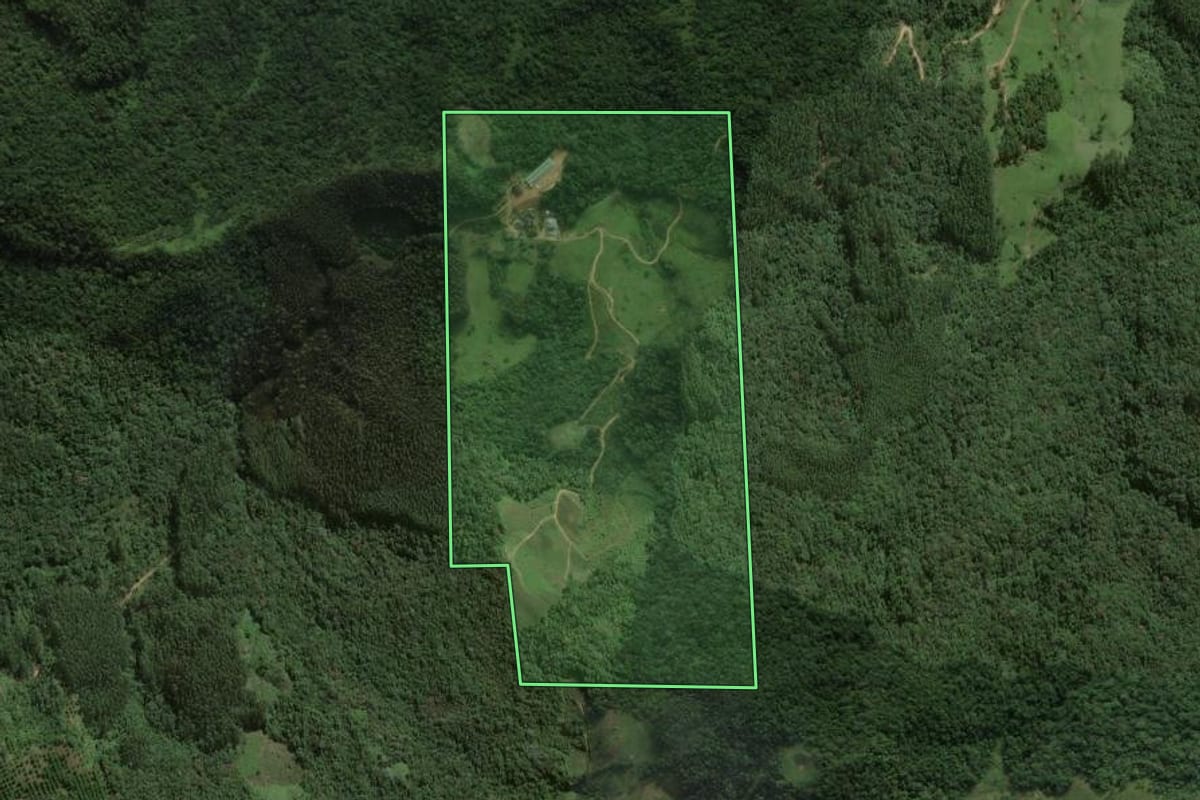 Imagem de satélite do imóvel rural em Angelina (SC), com o contorno declarado no CAR desenhado por cima.