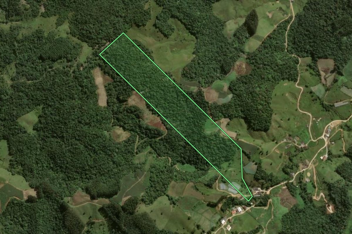Imagem de satélite do imóvel rural em Angelina (SC), com o contorno declarado no CAR desenhado por cima.