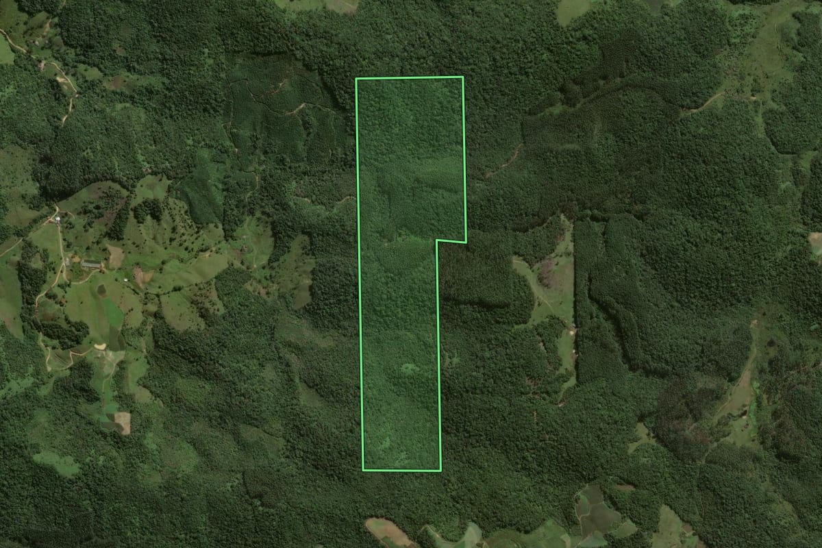 Imagem de satélite do imóvel rural em Angelina (SC), com o contorno declarado no CAR desenhado por cima.