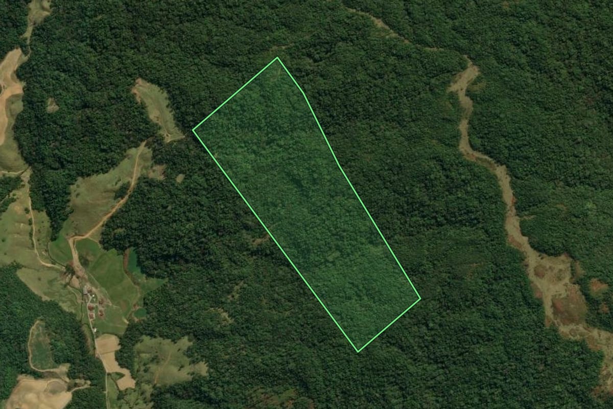 Imagem de satélite do imóvel rural em Angelina (SC), com o contorno declarado no CAR desenhado por cima.