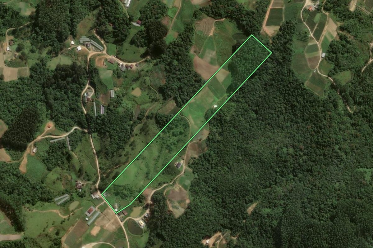 Imagem de satélite do imóvel rural em Angelina (SC), com o contorno declarado no CAR desenhado por cima.