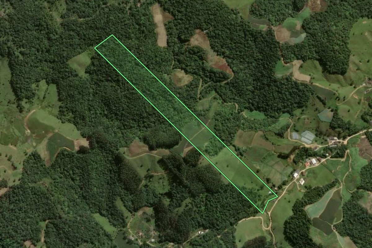 Imagem de satélite do imóvel rural em Angelina (SC), com o contorno declarado no CAR desenhado por cima.
