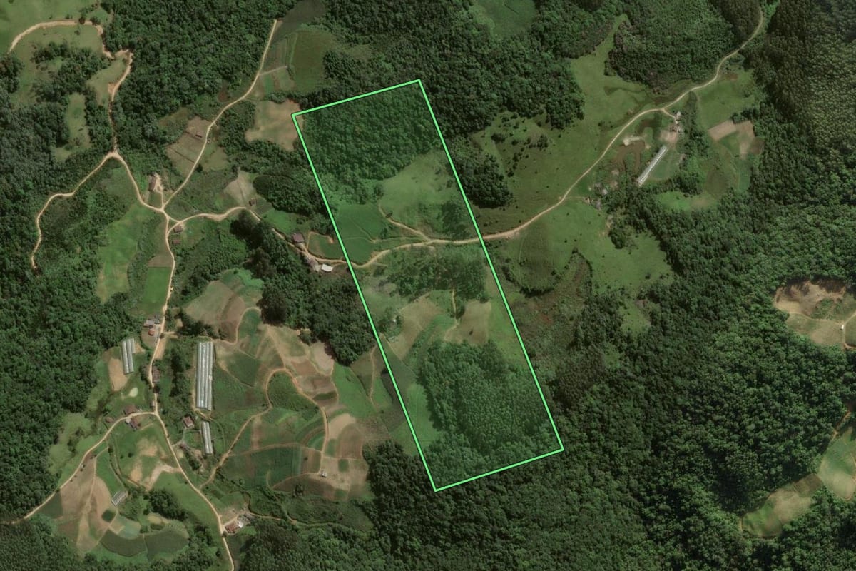 Imagem de satélite do imóvel rural em Angelina (SC), com o contorno declarado no CAR desenhado por cima.