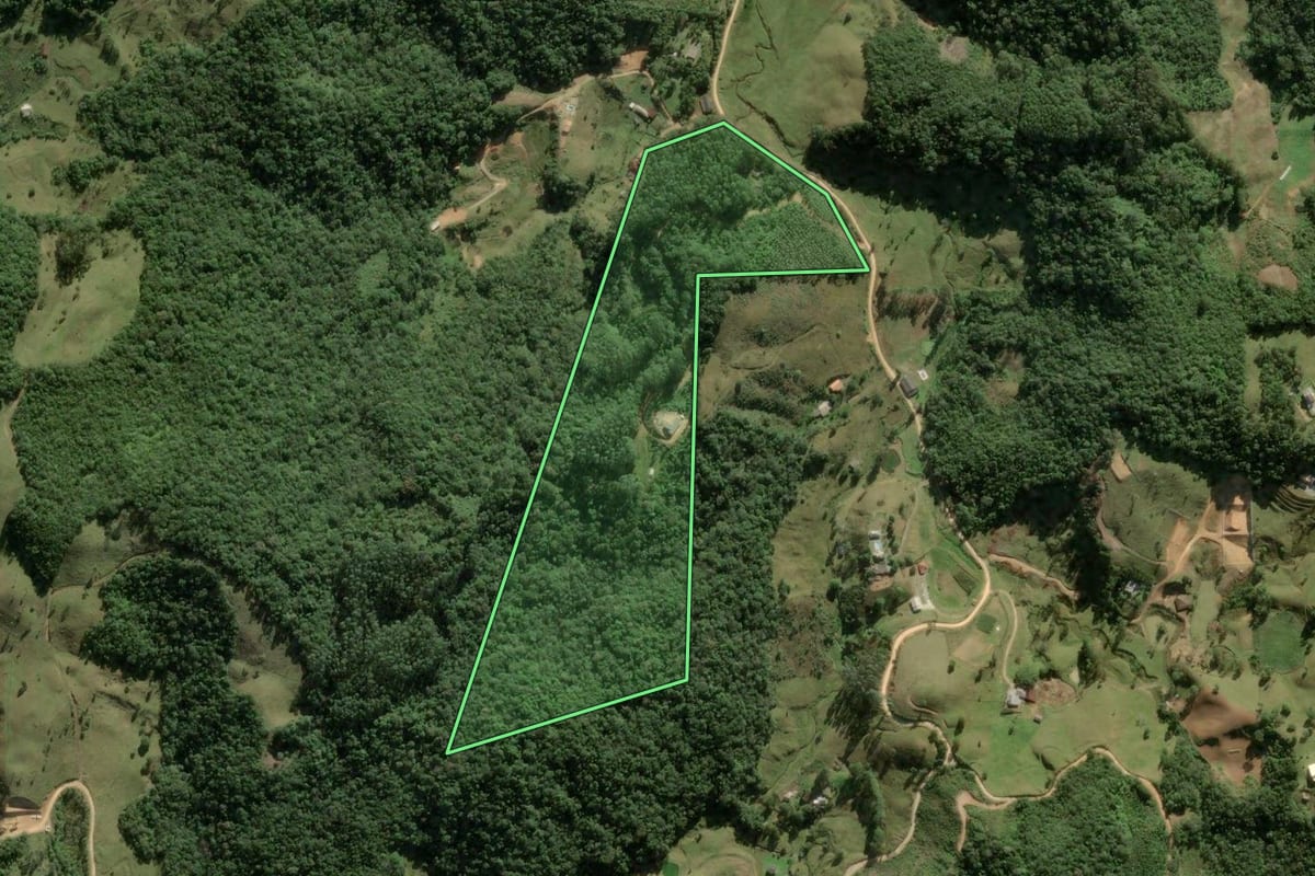 Imagem de satélite do imóvel rural em Angelina (SC), com o contorno declarado no CAR desenhado por cima.