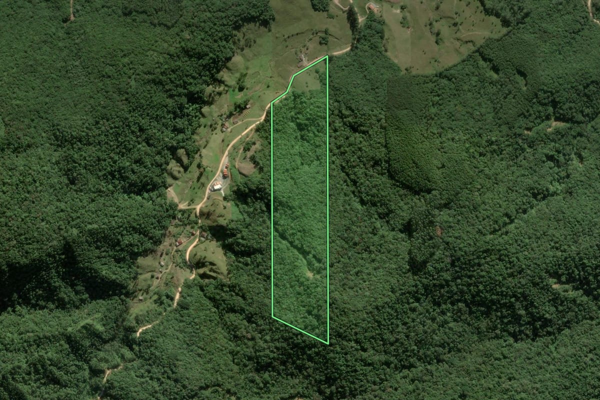 Imagem de satélite do imóvel rural em Angelina (SC), com o contorno declarado no CAR desenhado por cima.