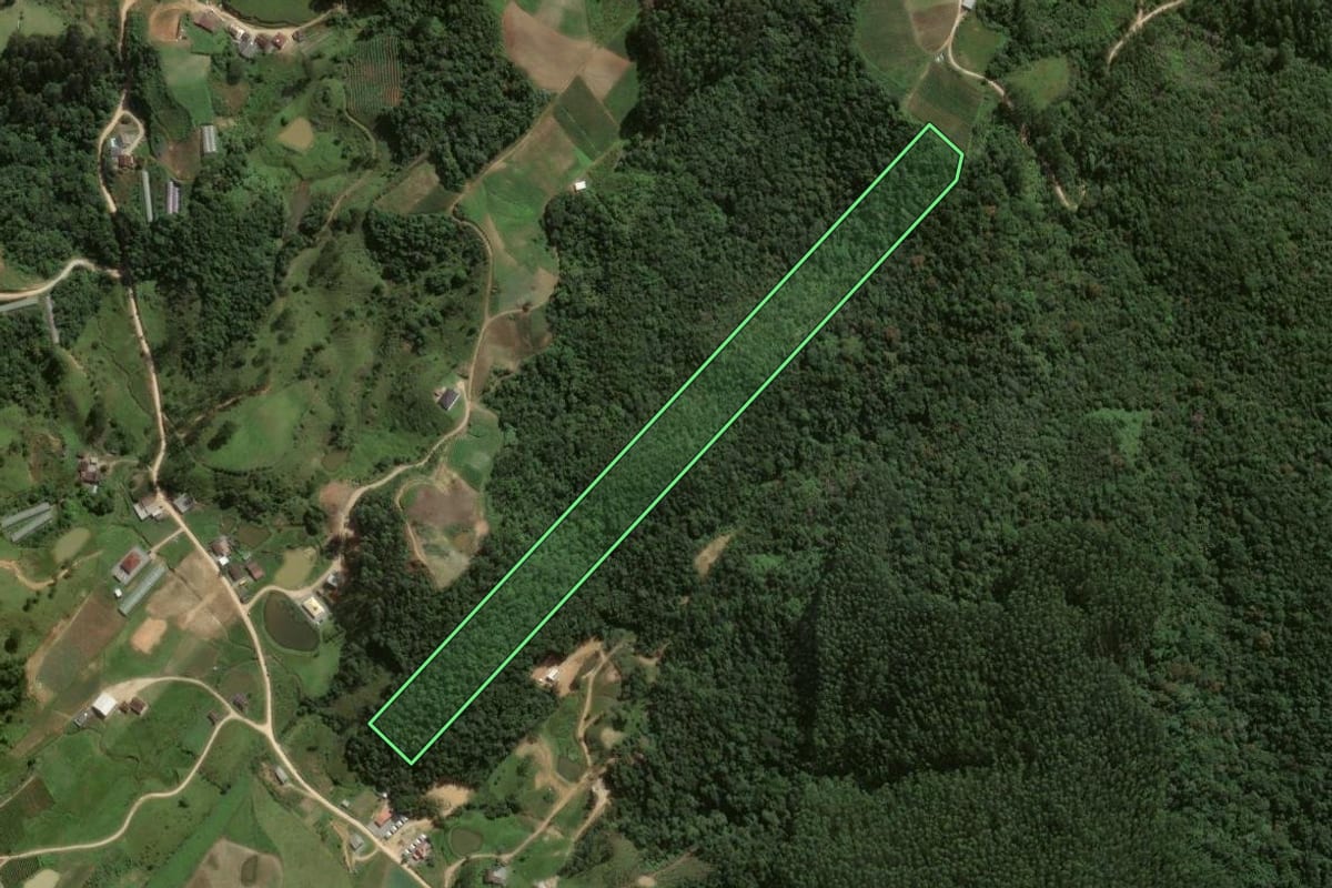 Imagem de satélite do imóvel rural em Angelina (SC), com o contorno declarado no CAR desenhado por cima.