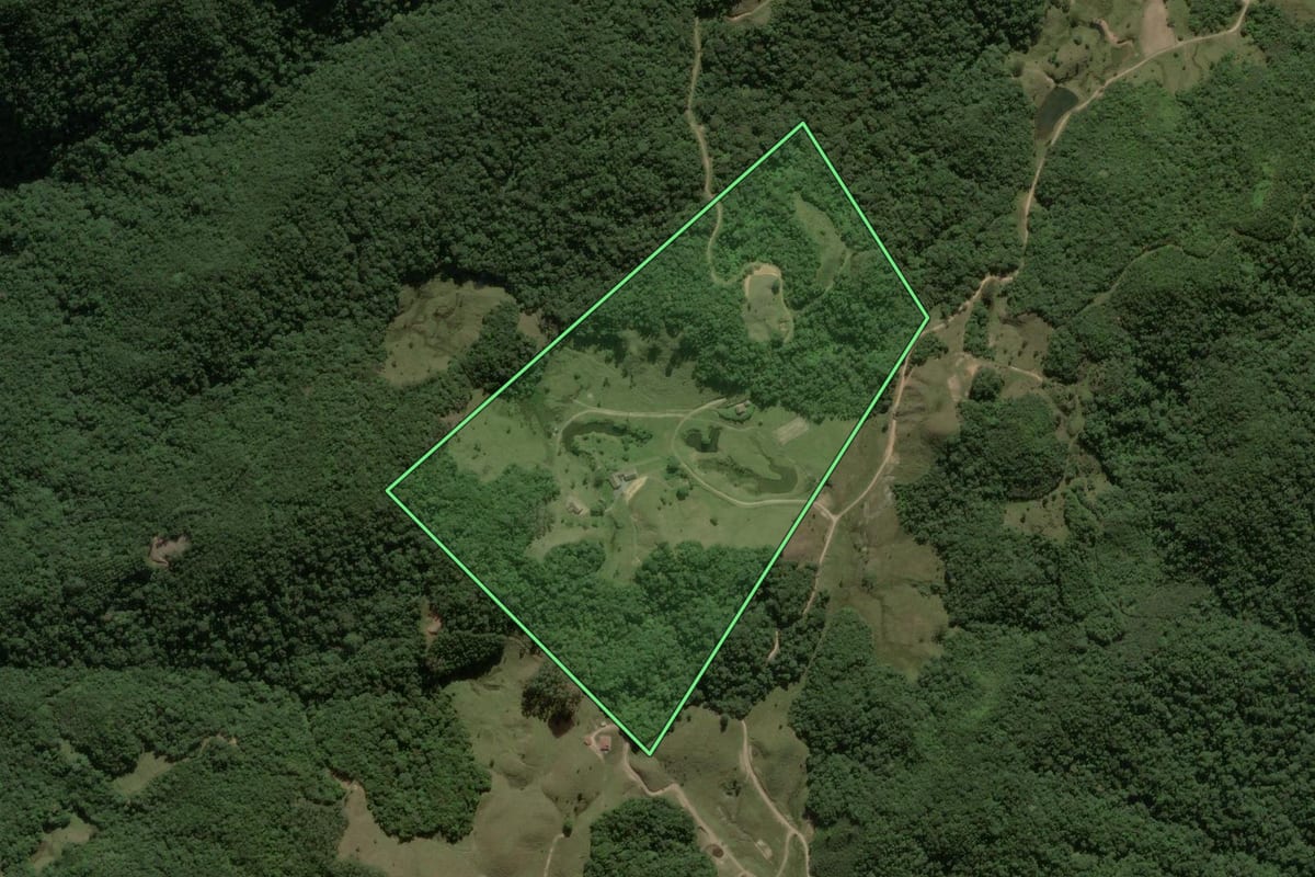 Imagem de satélite do imóvel rural em Angelina (SC), com o contorno declarado no CAR desenhado por cima.