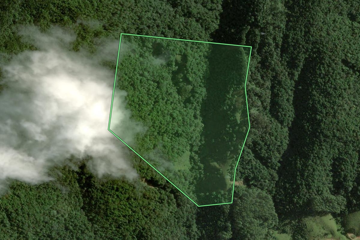 Imagem de satélite do imóvel rural em Angelina (SC), com o contorno declarado no CAR desenhado por cima.