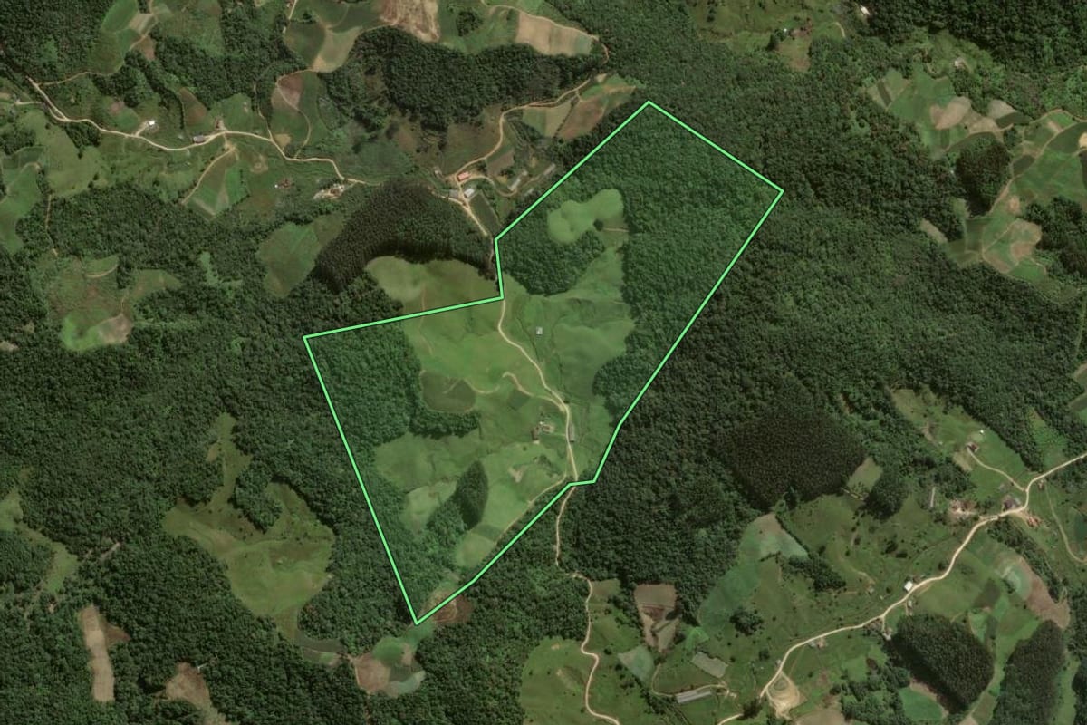 Imagem de satélite do imóvel rural em Angelina (SC), com o contorno declarado no CAR desenhado por cima.