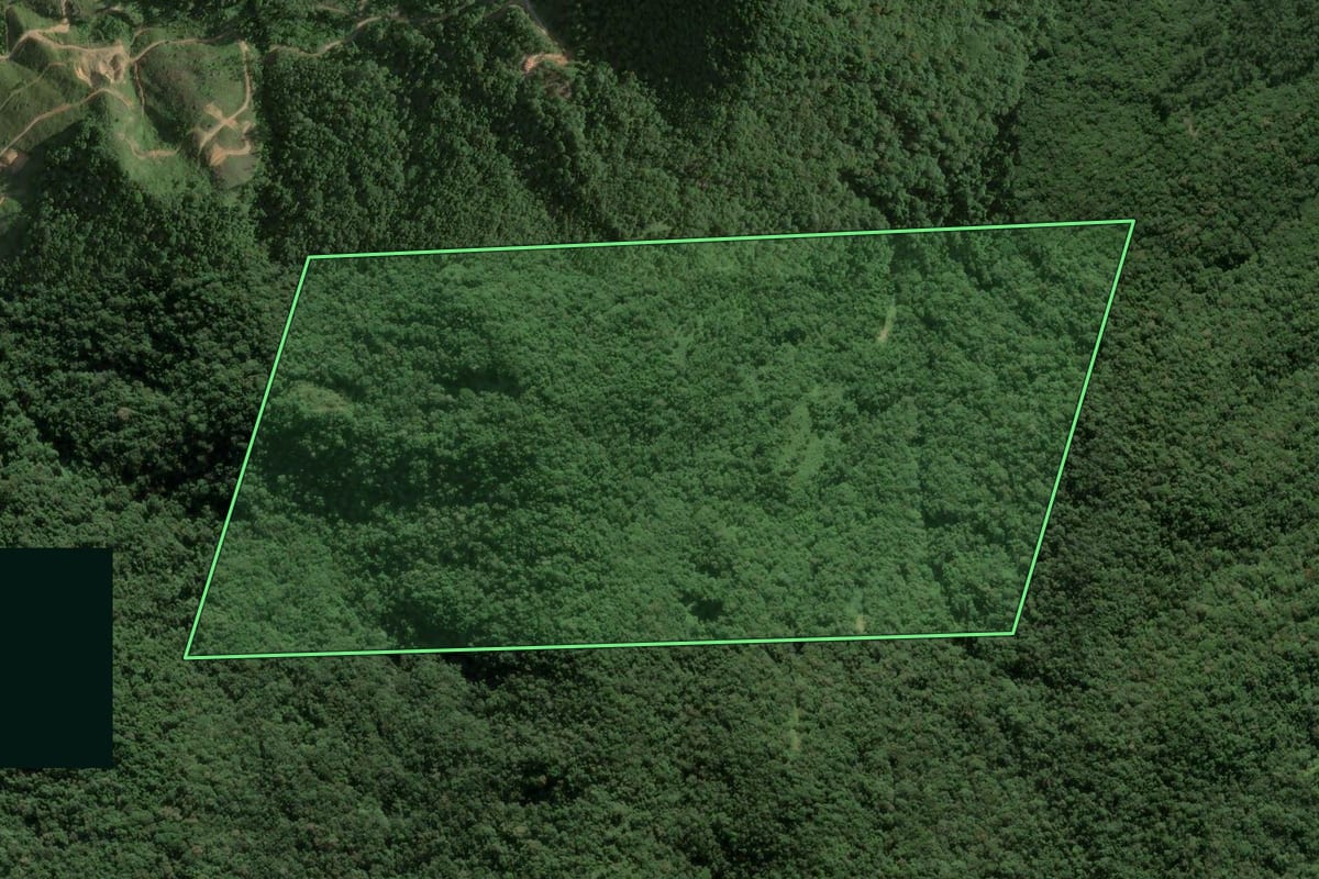 Imagem de satélite do imóvel rural em Angelina (SC), com o contorno declarado no CAR desenhado por cima.