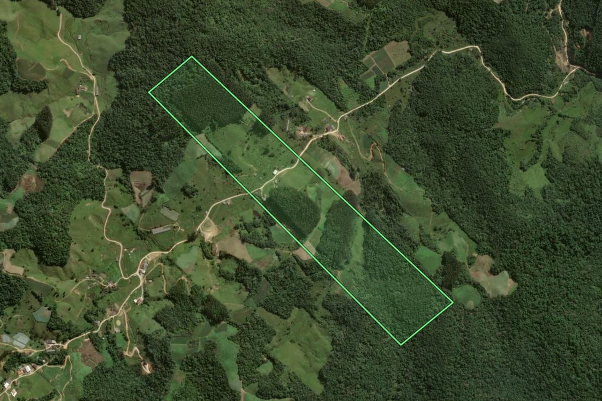 Imagem de satélite do imóvel rural em Angelina (SC), com o contorno declarado no CAR desenhado por cima.