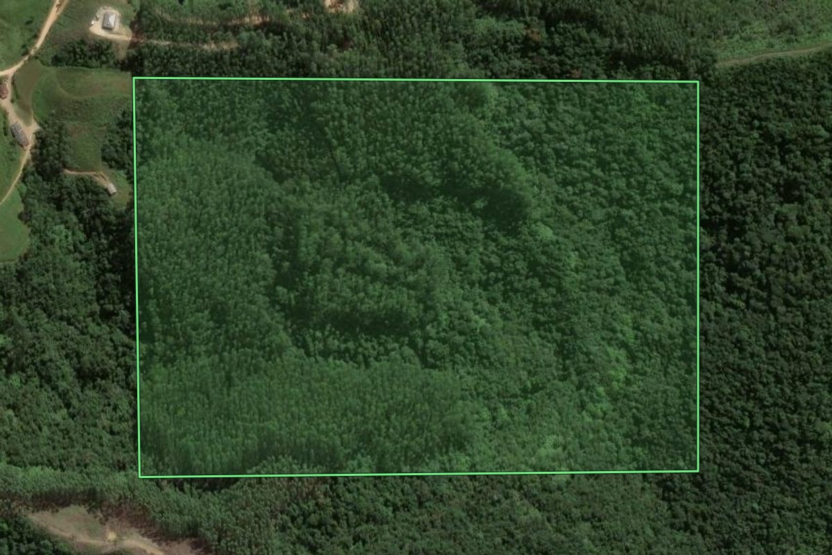 Imagem de satélite do imóvel rural em Angelina (SC), com o contorno declarado no CAR desenhado por cima.