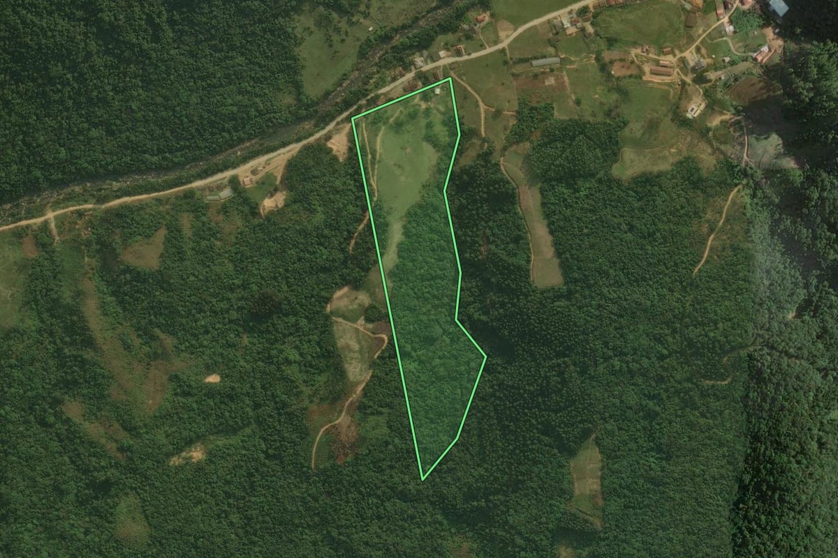 Imagem de satélite do imóvel rural em Angelina (SC), com o contorno declarado no CAR desenhado por cima.