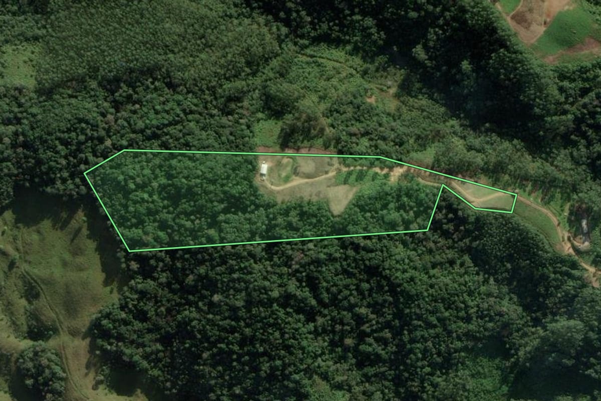 Imagem de satélite do imóvel rural em Angelina (SC), com o contorno declarado no CAR desenhado por cima.