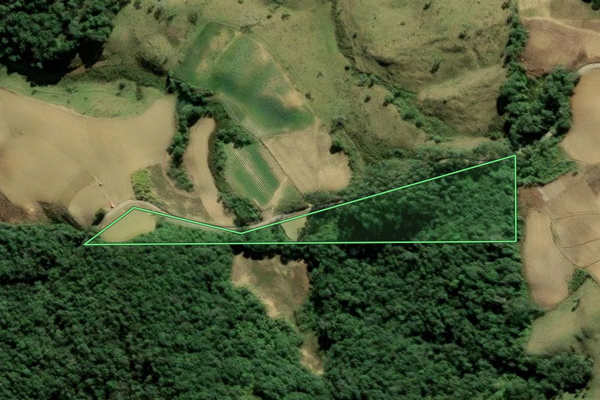 Imagem de satélite do imóvel rural em Angelina (SC), com o contorno declarado no CAR desenhado por cima.
