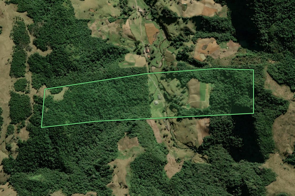 Imagem de satélite do imóvel rural em Angelina (SC), com o contorno declarado no CAR desenhado por cima.