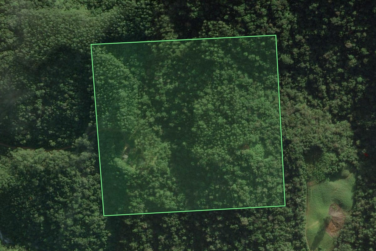 Imagem de satélite do imóvel rural em Angelina (SC), com o contorno declarado no CAR desenhado por cima.