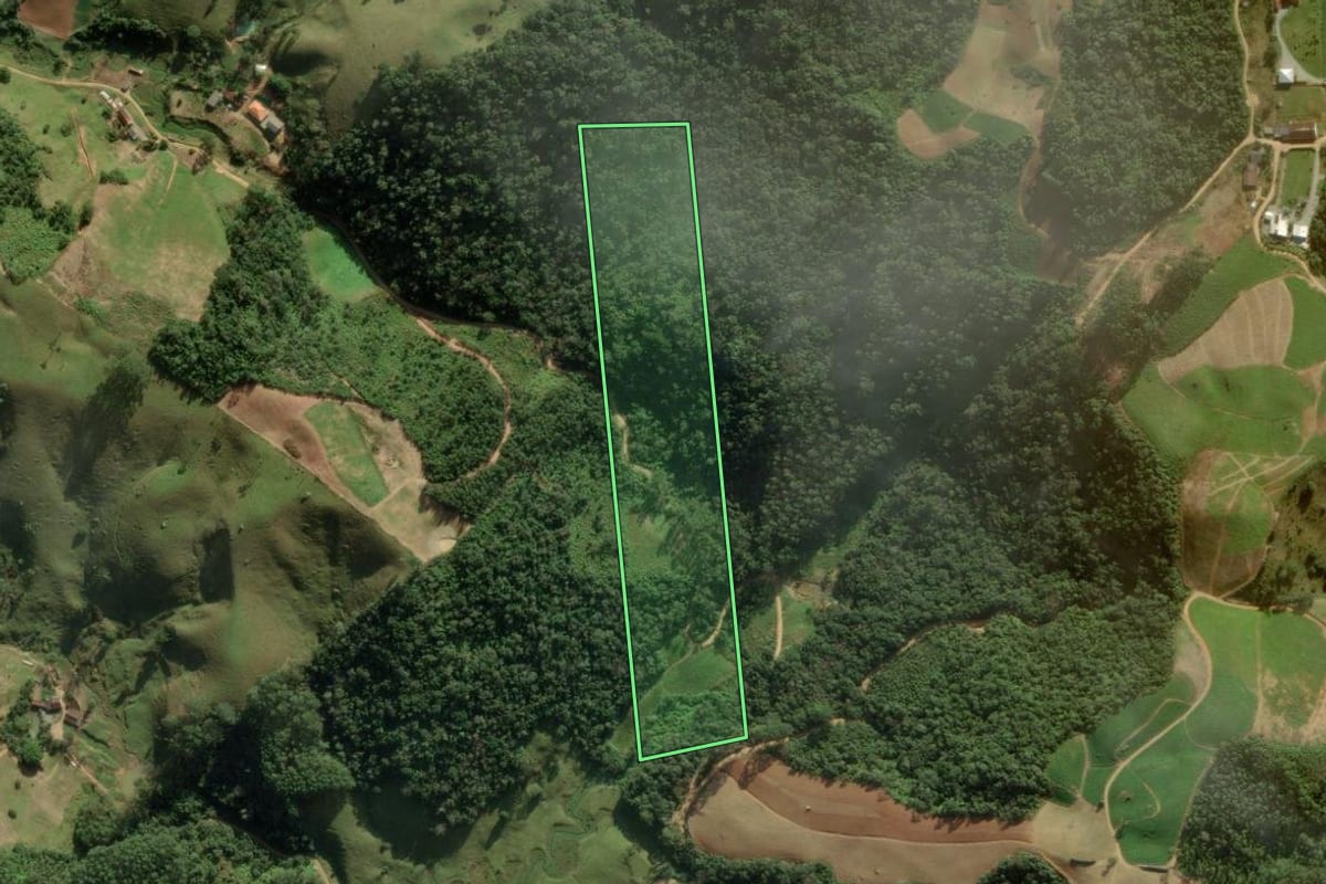 Imagem de satélite do imóvel rural em Angelina (SC), com o contorno declarado no CAR desenhado por cima.