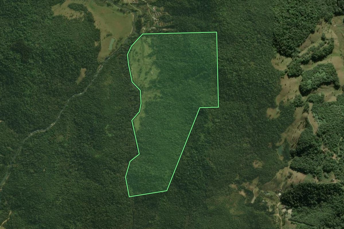 Imagem de satélite do imóvel rural em Angelina (SC), com o contorno declarado no CAR desenhado por cima.