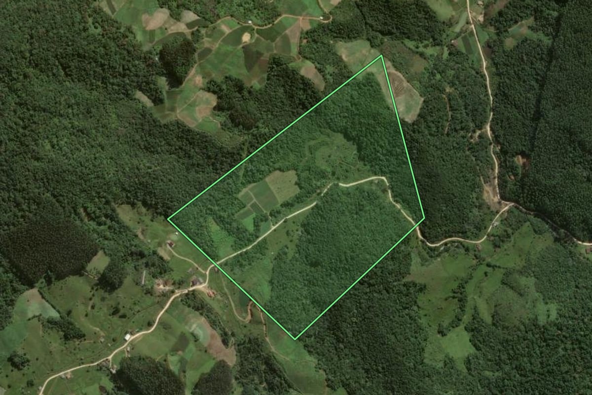Imagem de satélite do imóvel rural em Angelina (SC), com o contorno declarado no CAR desenhado por cima.