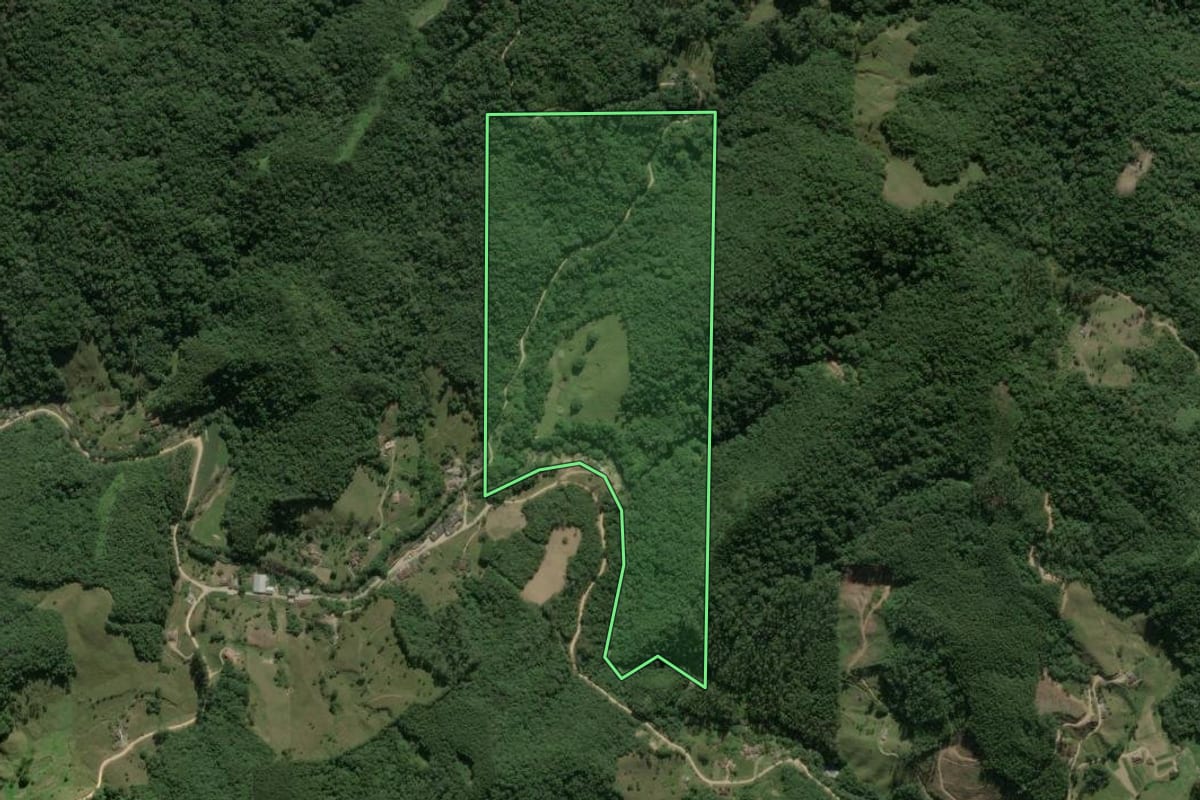 Imagem de satélite do imóvel rural em Angelina (SC), com o contorno declarado no CAR desenhado por cima.