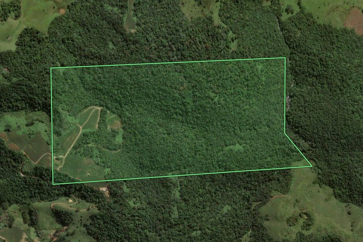 Imagem de satélite do imóvel rural em Angelina (SC), com o contorno declarado no CAR desenhado por cima.