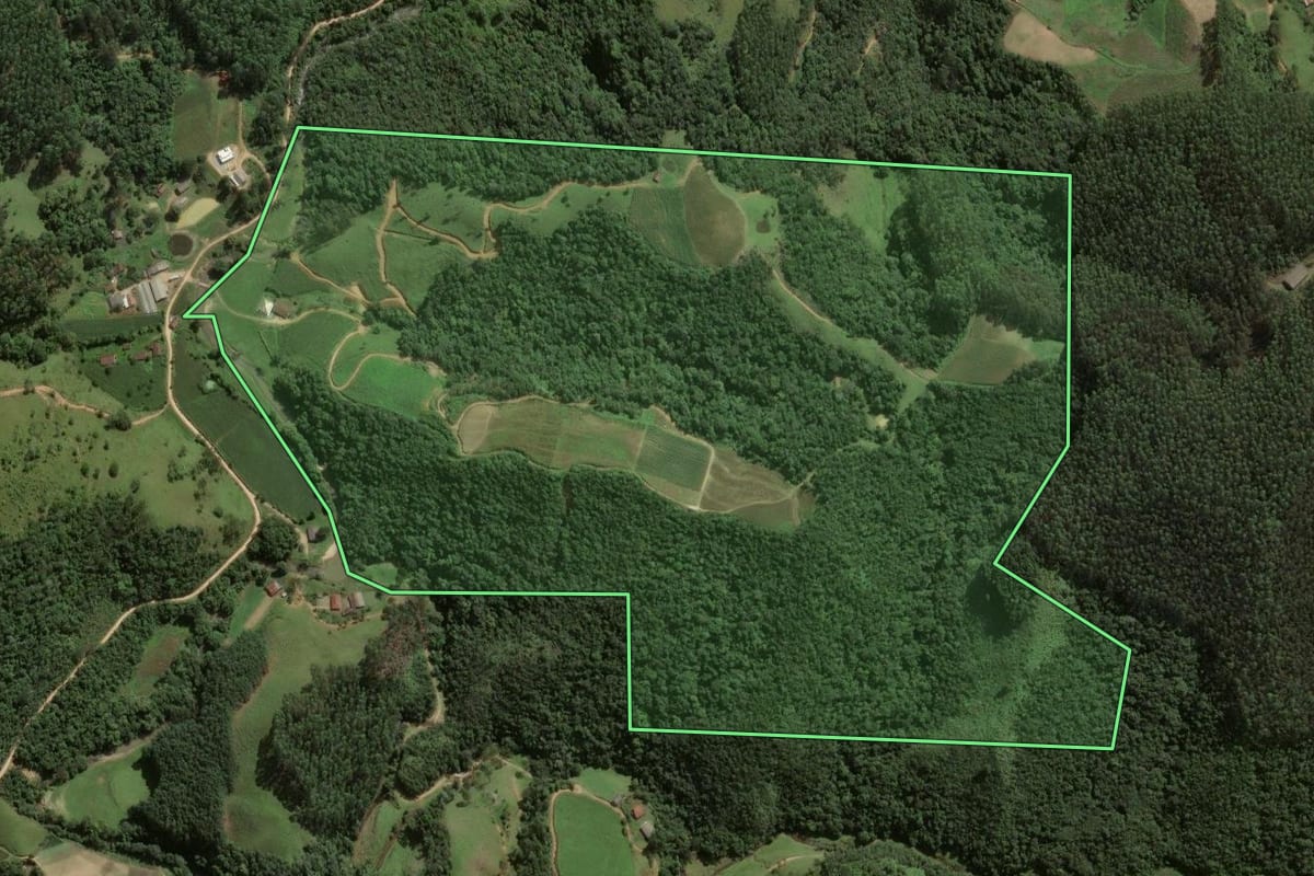 Imagem de satélite do imóvel rural em Angelina (SC), com o contorno declarado no CAR desenhado por cima.