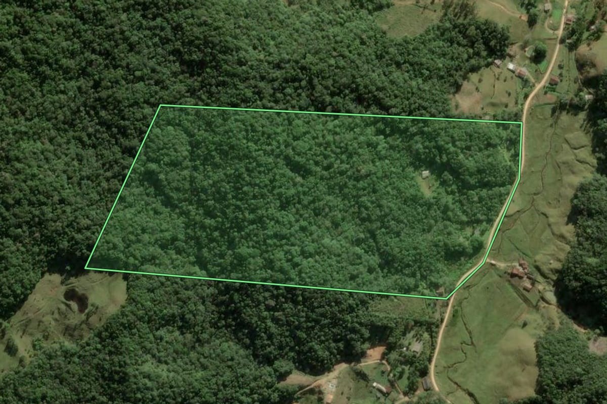 Imagem de satélite do imóvel rural em Angelina (SC), com o contorno declarado no CAR desenhado por cima.