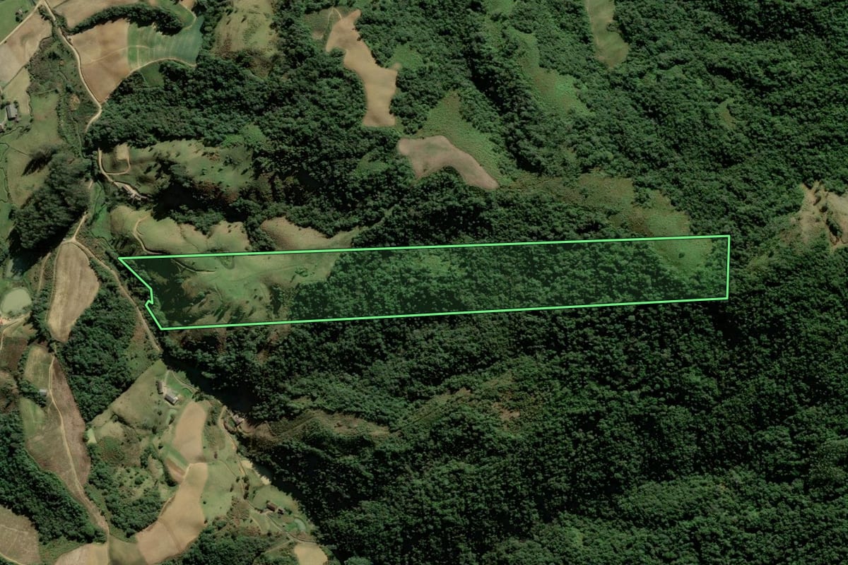 Imagem de satélite do imóvel rural em Angelina (SC), com o contorno declarado no CAR desenhado por cima.