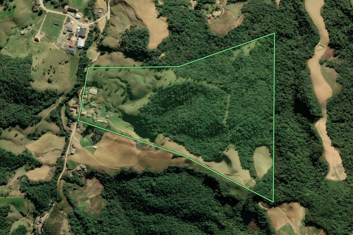 Imagem de satélite do imóvel rural em Angelina (SC), com o contorno declarado no CAR desenhado por cima.
