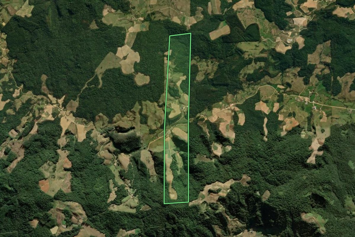 Imagem de satélite do imóvel rural em Angelina (SC), com o contorno declarado no CAR desenhado por cima.