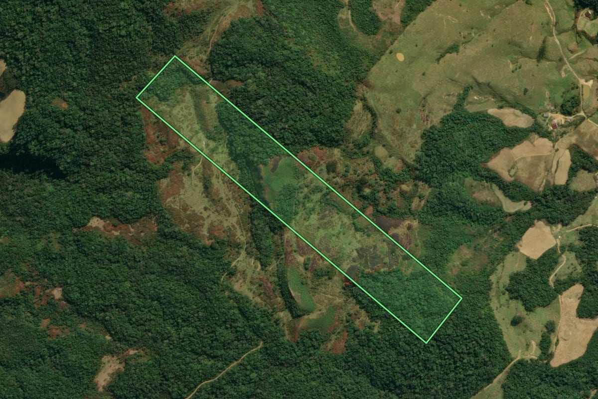 Imagem de satélite do imóvel rural em Angelina (SC), com o contorno declarado no CAR desenhado por cima.