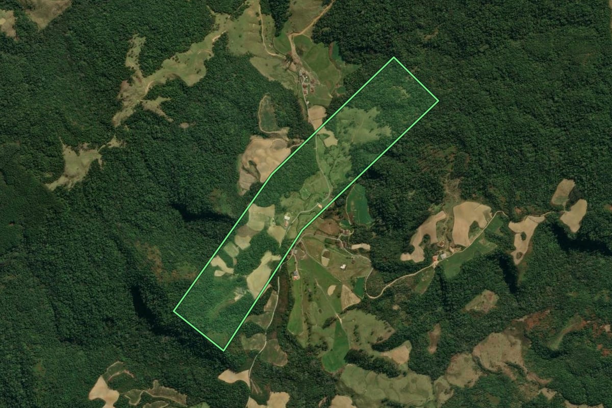 Imagem de satélite do imóvel rural em Angelina (SC), com o contorno declarado no CAR desenhado por cima.