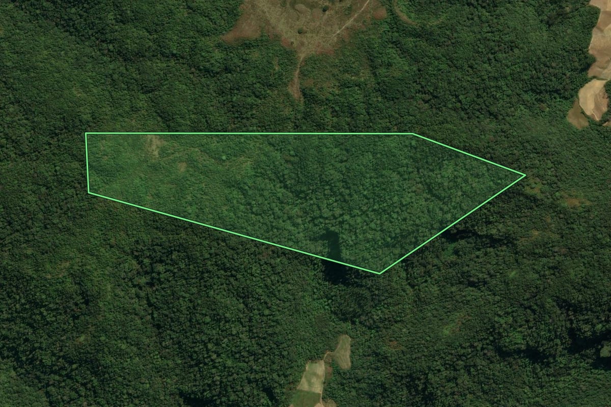 Imagem de satélite do imóvel rural em Angelina (SC), com o contorno declarado no CAR desenhado por cima.