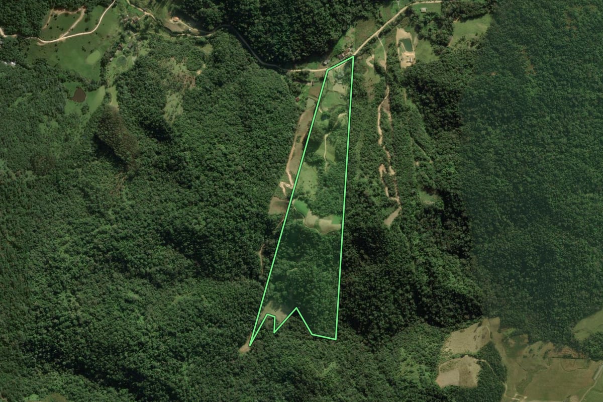 Imagem de satélite do imóvel rural em Angelina (SC), com o contorno declarado no CAR desenhado por cima.
