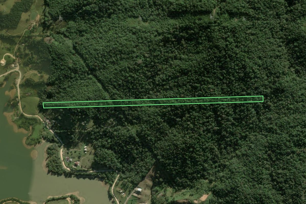 Imagem de satélite do imóvel rural em Angelina (SC), com o contorno declarado no CAR desenhado por cima.