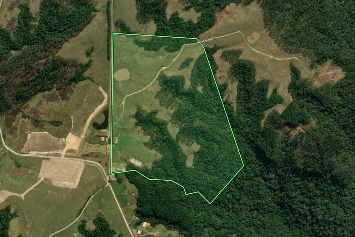 Imagem de satélite do imóvel rural em Angelina (SC), com o contorno declarado no CAR desenhado por cima.