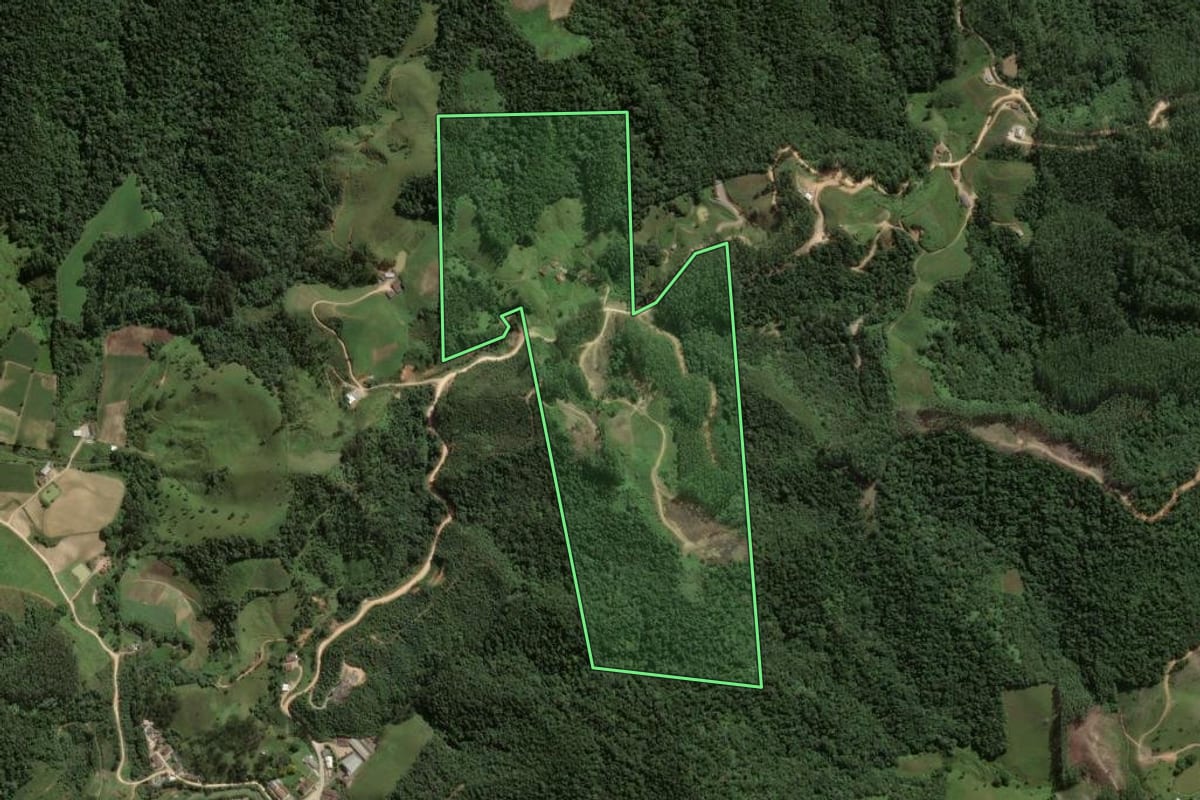Imagem de satélite do imóvel rural em Angelina (SC), com o contorno declarado no CAR desenhado por cima.