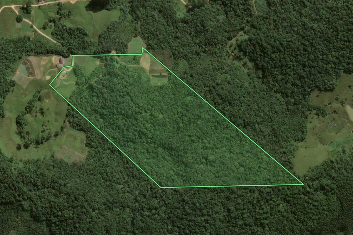 Imagem de satélite do imóvel rural em Angelina (SC), com o contorno declarado no CAR desenhado por cima.